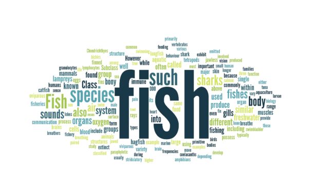 Fish Biology – Workshop