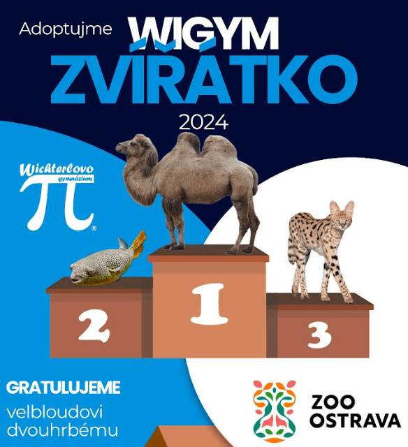 Velbloud dvouhrbý – vítězné adoptované zvířátko ze ZOO Ostrava roku 2024
